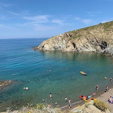 Superbe Appt Vue Mer Climatise 滨海巴纽尔斯 外观 照片