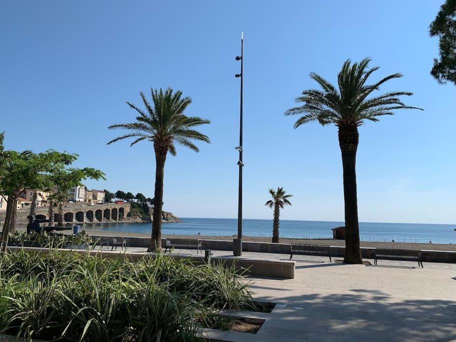 Superbe Appt Vue Mer Climatise 滨海巴纽尔斯 外观 照片