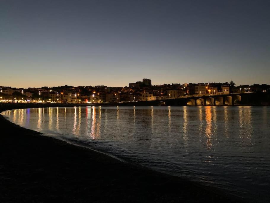 Superbe Appt Vue Mer Climatise 滨海巴纽尔斯 外观 照片