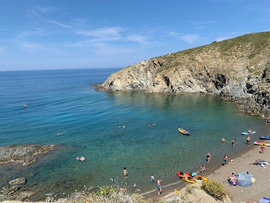 Superbe Appt Vue Mer Climatise 滨海巴纽尔斯 外观 照片